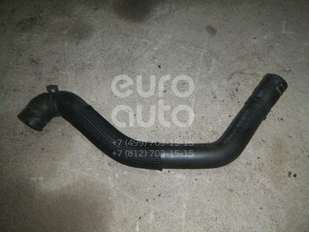 Патрубок радиатора для Renault Laguna II 2001-2008 - Фото №1