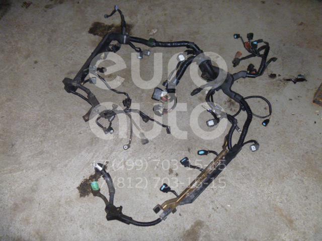 Проводка (коса) для Honda Accord Coupe USA 2003-2008 - Фото №1