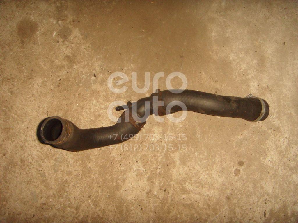 Патрубок радиатора для Skoda,Seat,VW Octavia 1997-2000;Toledo II 1999-2006;Golf IV/Bora 1997-2005 - Фото №1