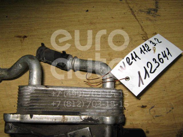 Радиатор масляный для Mercedes Benz W211 E-Klasse 2002-2009;W163 M-Klasse (ML) 1998-2004;W202 1993-2000;W220 1998-2005;W210 E-Klasse 1995-2000;C208 CLK coupe 1997-2002;G-Class W463 1989>;W215 CL coupe 1999-2006;R230 SL 2001-2012 - Фото №1