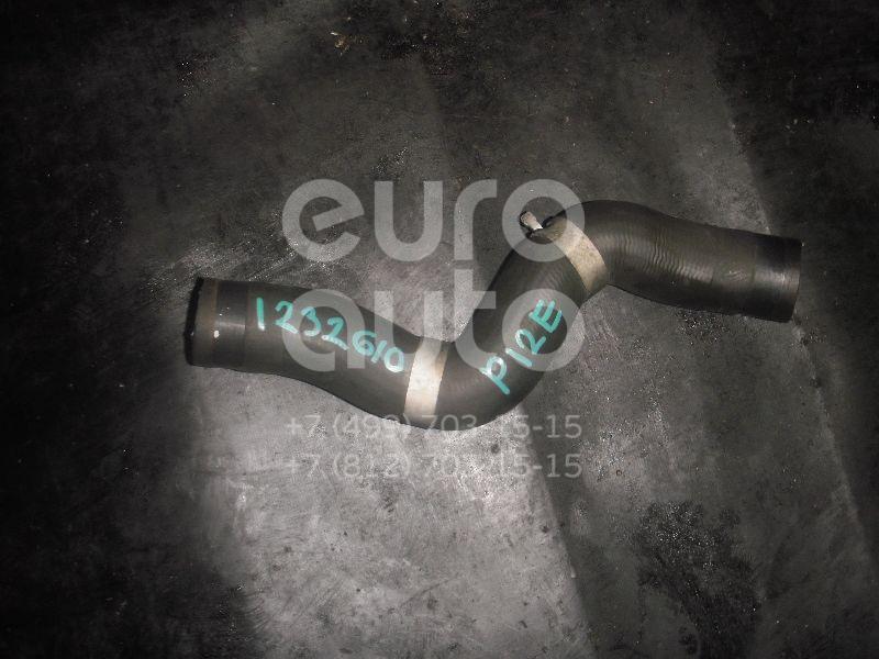 Патрубок радиатора для Nissan Primera P12E 2002-2007 - Фото №1