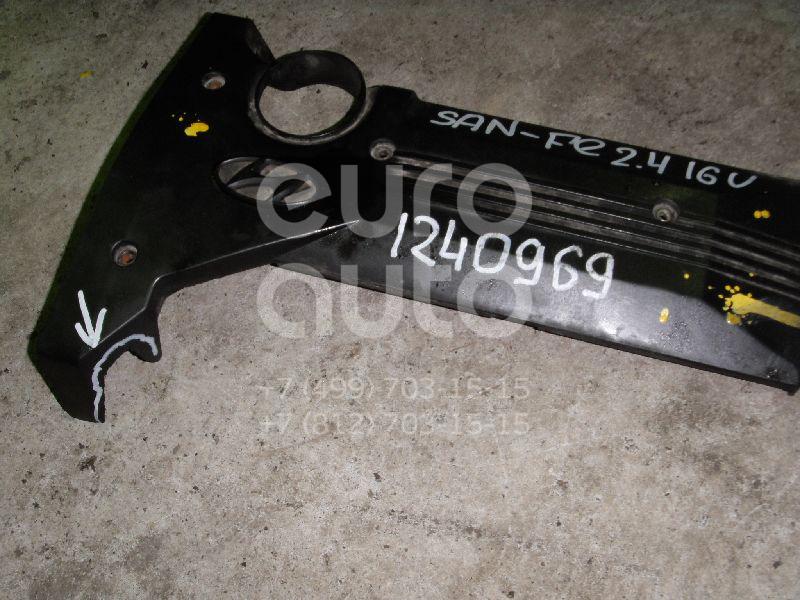 Накладка декоративная для Hyundai Santa Fe (SM)/ Santa Fe Classic 2000-2012 - Фото №1