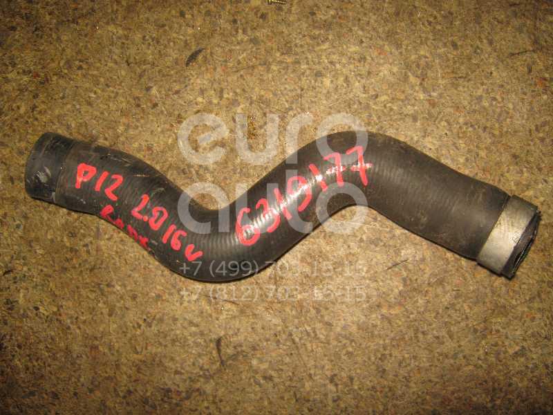 Патрубок радиатора для Nissan Primera P12E 2002-2007 - Фото №1