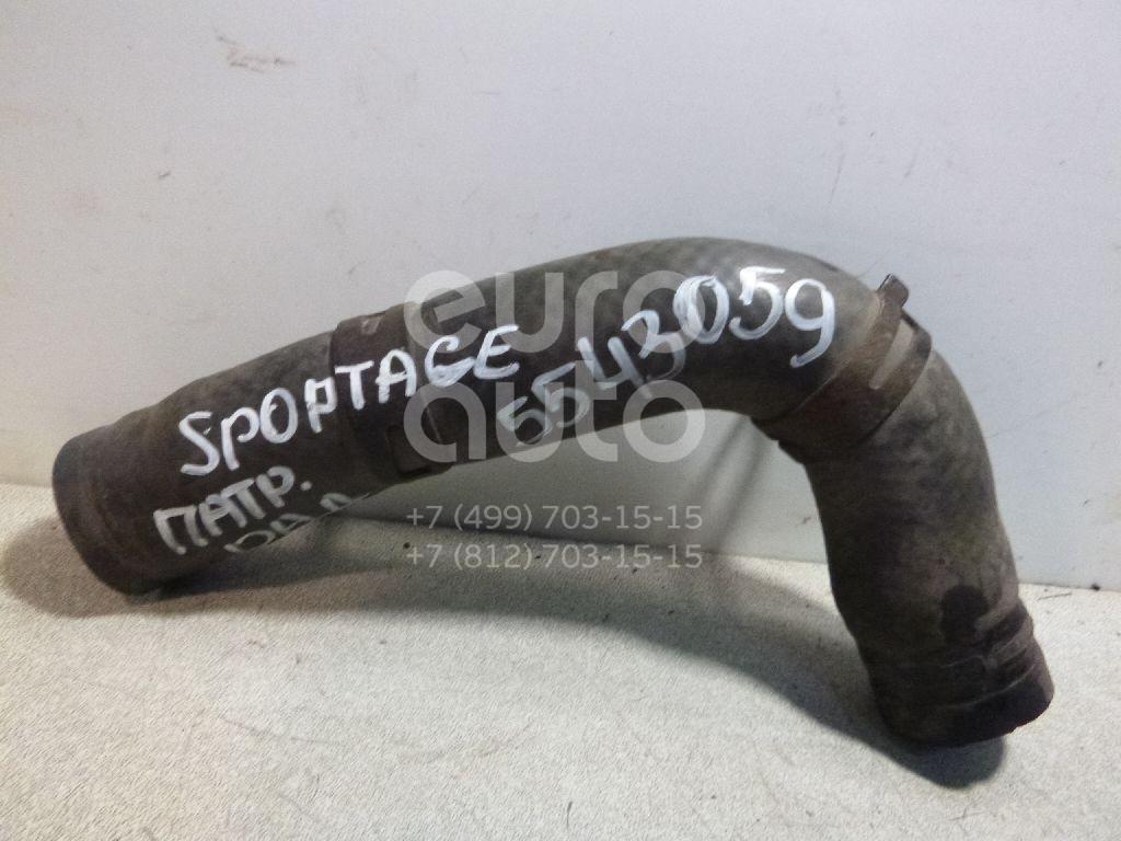 Патрубок радиатора для Kia Sportage 1994-2004 - Фото №1