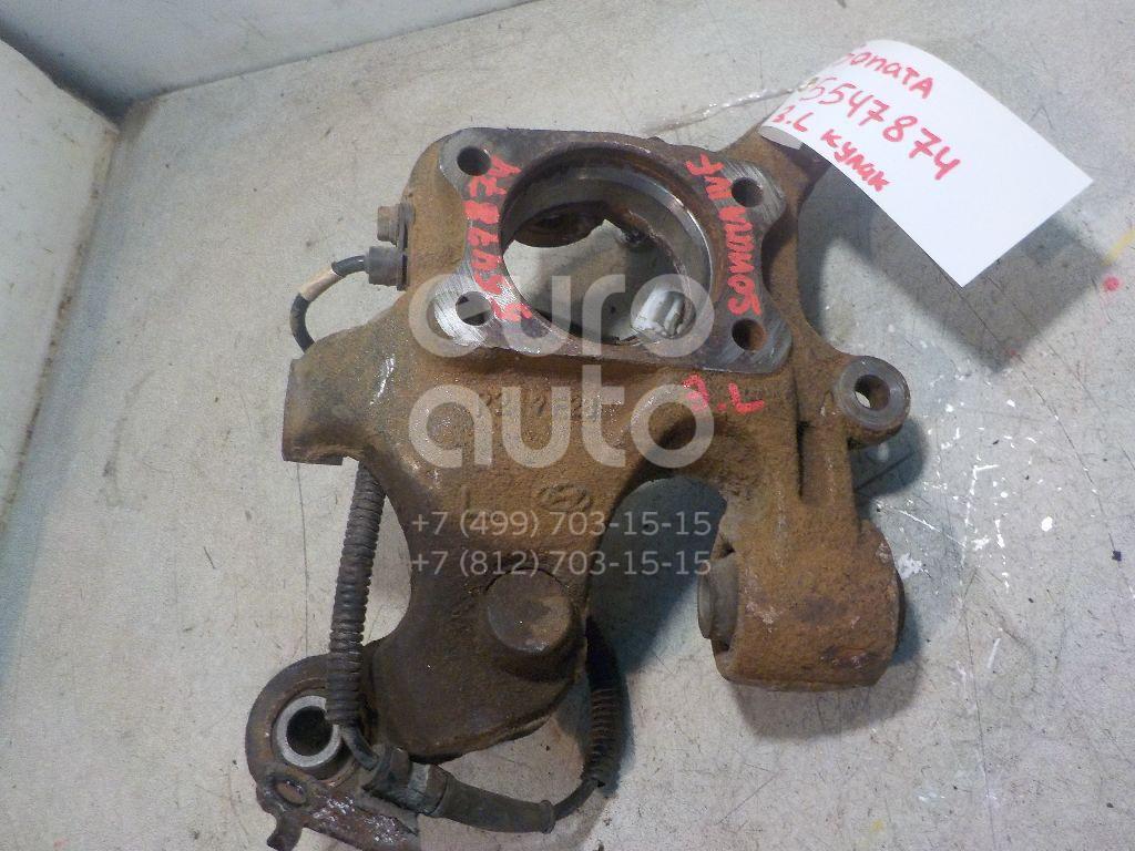 Кулак поворотный задний левый для Hyundai Sonata V (NF) 2005-2010;Grandeur (IV) 2005-2010 - Фото №1
