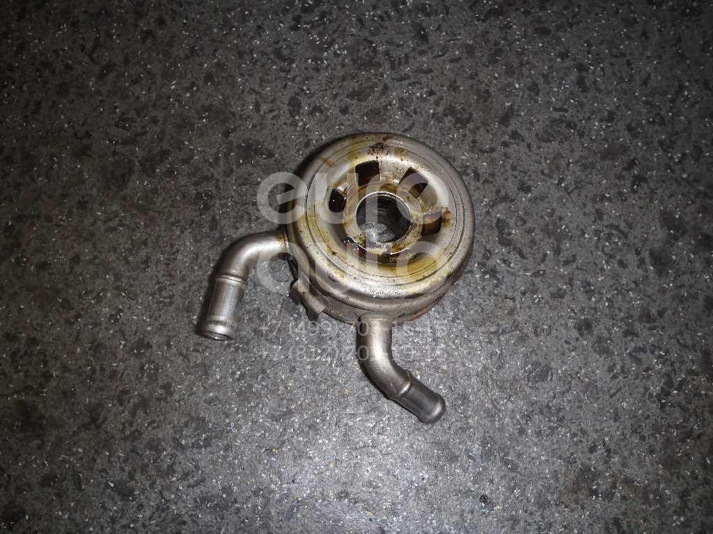 Радиатор масляный для Lexus LS 430 (UCF30) 2000-2006 - Фото №1