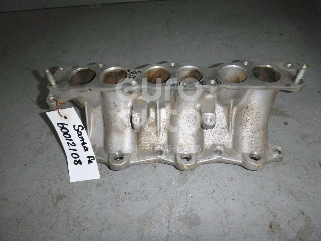 Коллектор впускной для Hyundai,Kia Santa Fe (CM) 2006-2012;Carnival 2005-2014;Grandeur (IV) 2005-2010;Magentis 2005-2010 - Фото №1