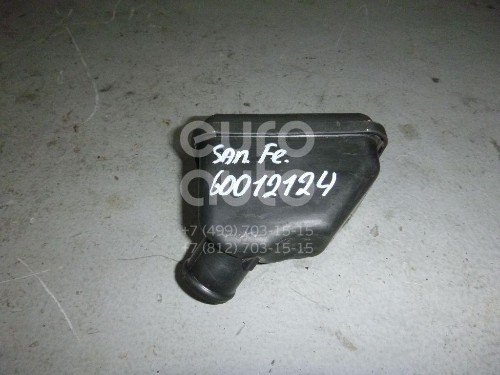 Бачок вакуумный для Hyundai Santa Fe (CM) 2006-2012 - Фото №1