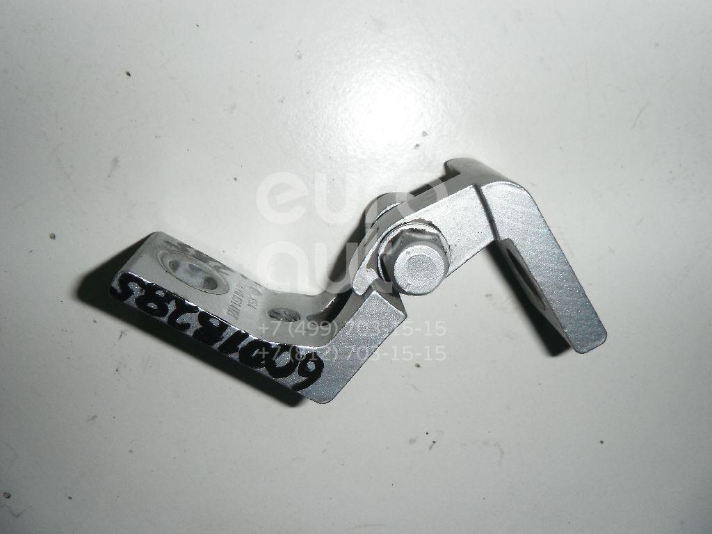 Петля двери для Skoda Octavia (A5 1Z-) 2004-2013;Fabia 1999-2007 - Фото №1