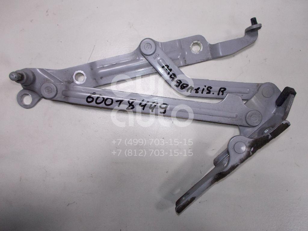 Петля крышки багажника для Kia Magentis 2005-2010 - Фото №1