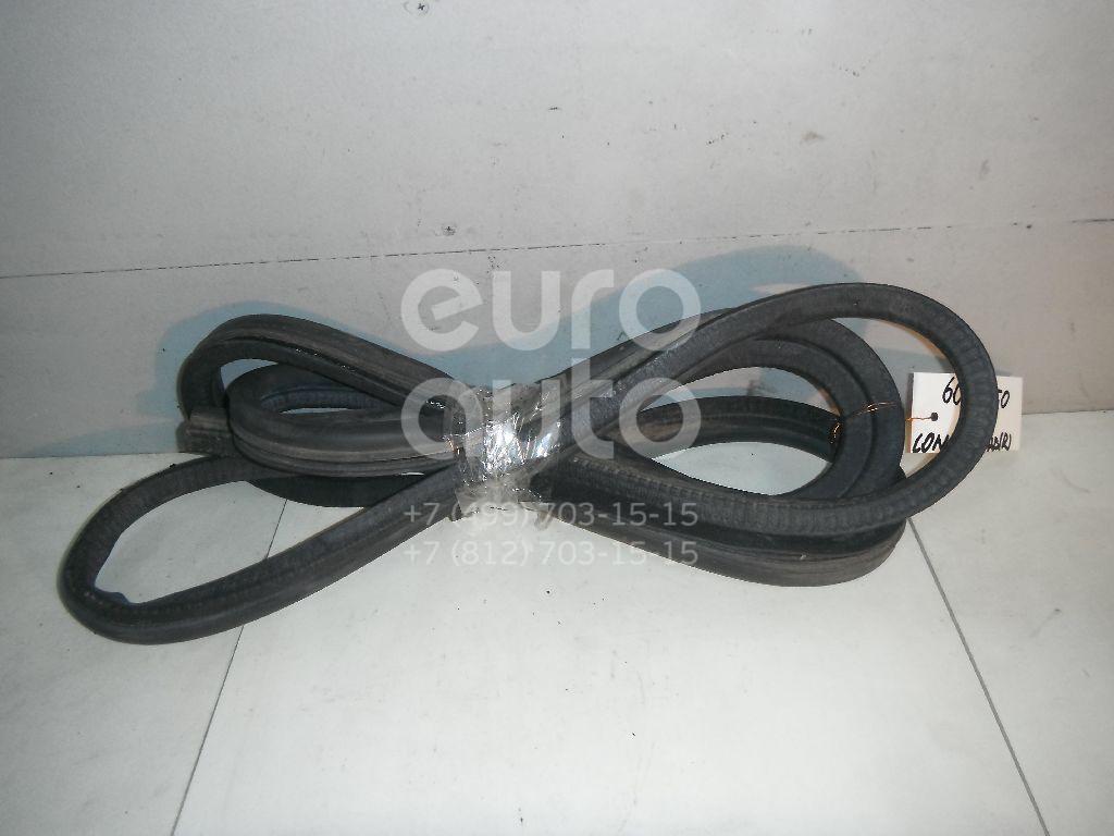 Уплотнитель двери для Ford Transit/Tourneo Connect 2002-2013 - Фото №1