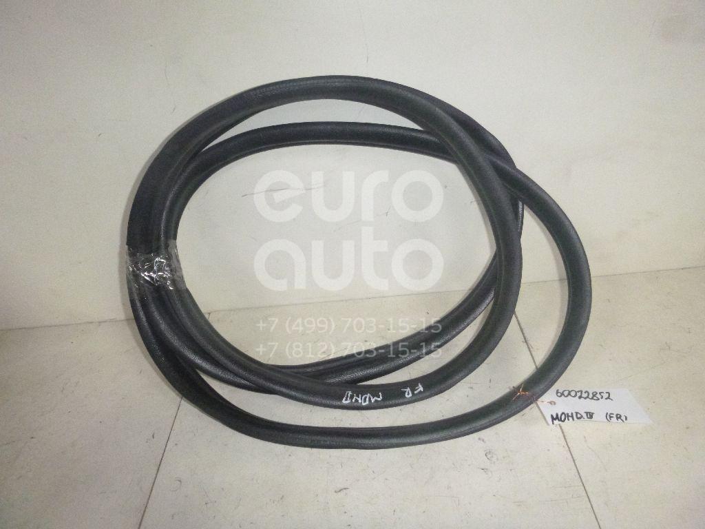 Уплотнитель (наружный) для Ford Mondeo III 2000-2007 - Фото №1