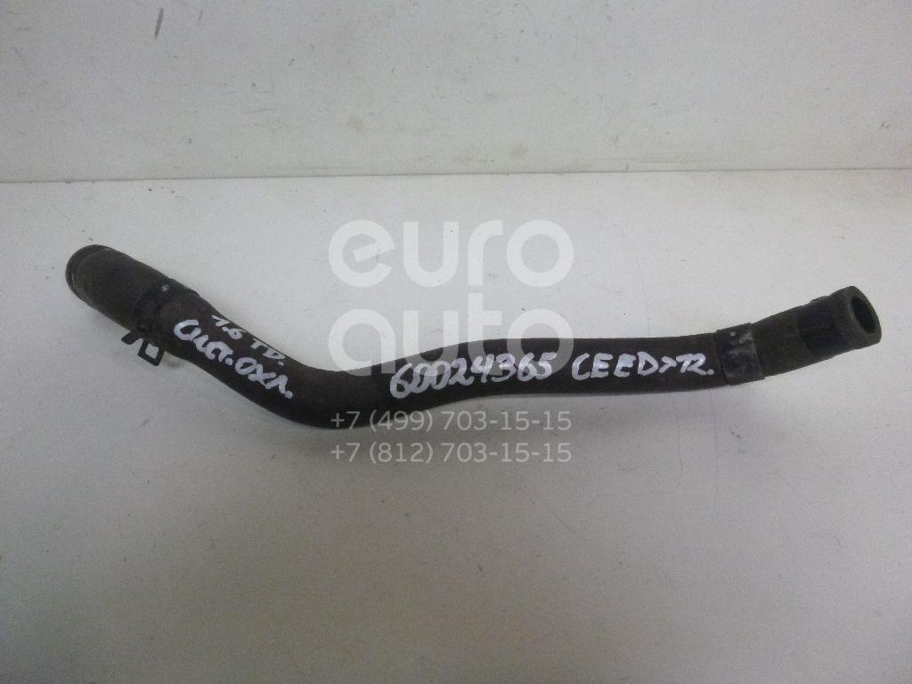 Шланг системы охлаждения для Kia Ceed 2007-2012 - Фото №1