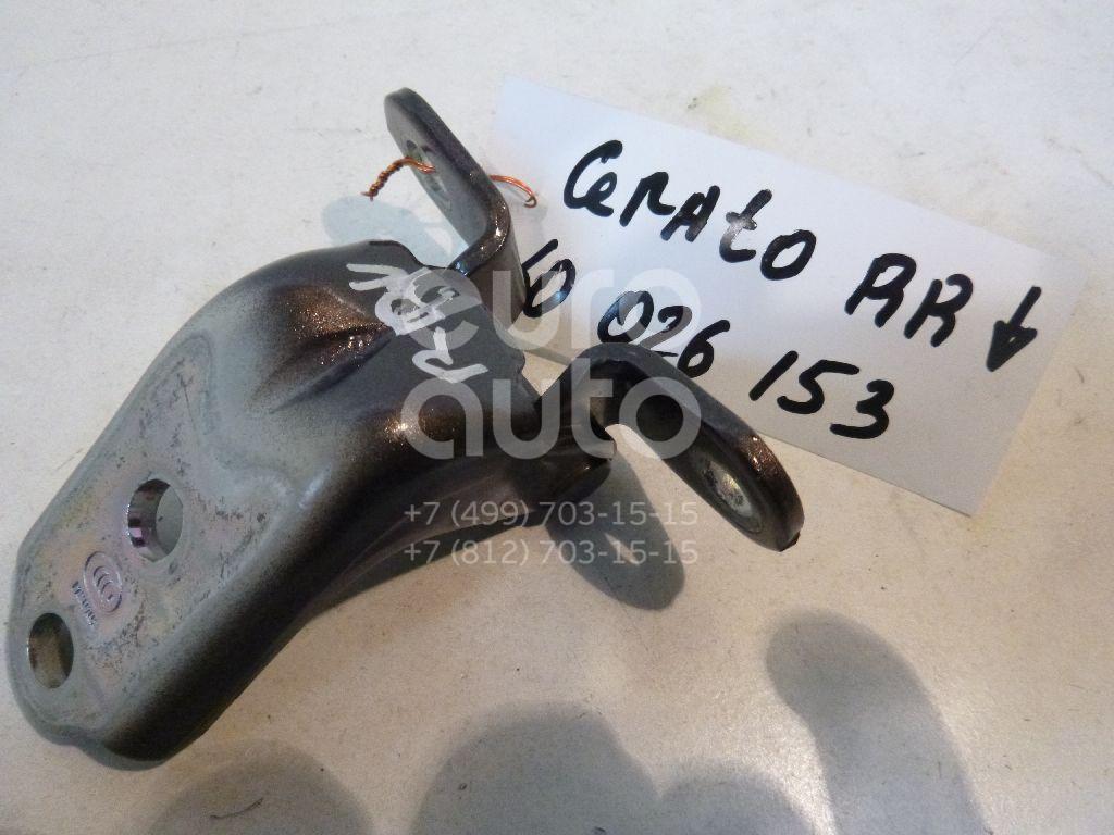 Петля двери для Kia,Hyundai Cerato 2013>;Tucson 2004-2010;Sportage 2004-2010;Elantra 2006-2011;Ceed 2007-2012;i30 2007-2012;Magentis 2005-2010;Soul 2009-2014;Cerato 2009-2013;Carens 2006-2012;Sonata VI 2010-2014 - Фото №1