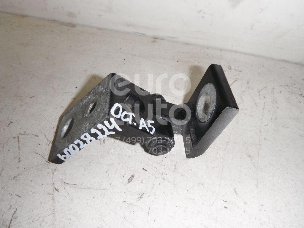 Петля двери для Skoda Octavia (A5 1Z-) 2004-2013;Fabia 1999-2007 - Фото №1