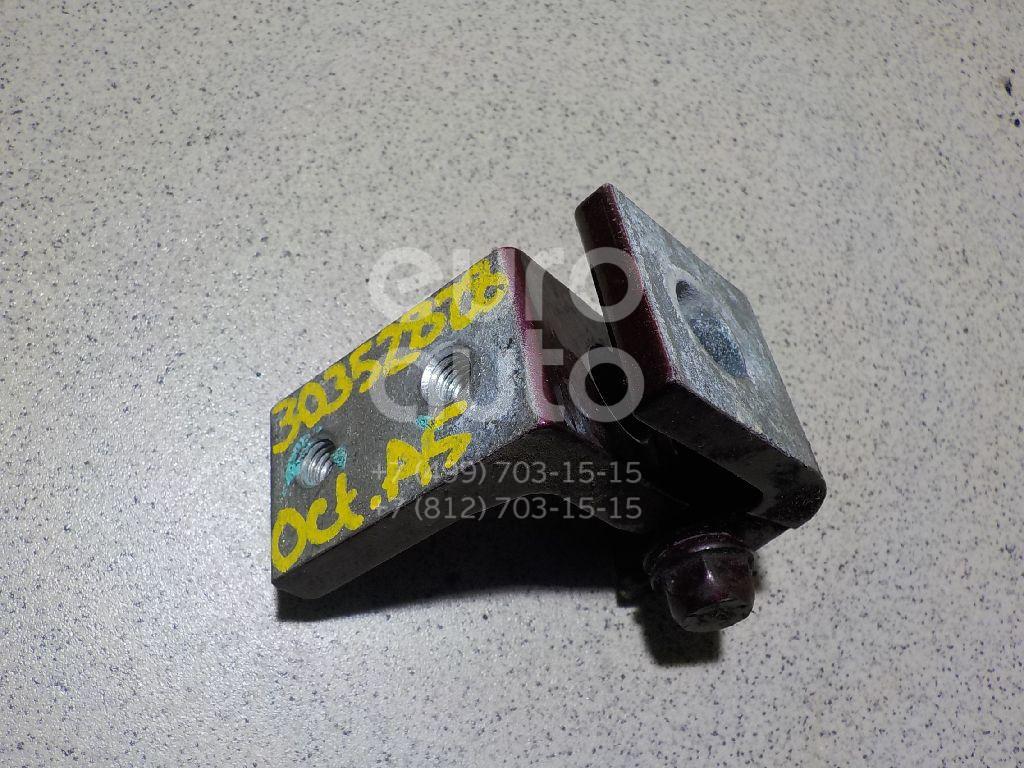 Петля двери задней левой нижняя для Skoda Octavia (A5 1Z-) 2004-2013 - Фото №1