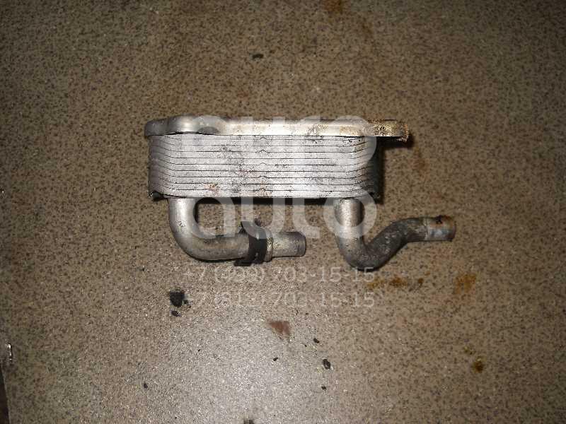 Радиатор масляный для Mercedes Benz W210 E-Klasse 1995-2000;W163 M-Klasse (ML) 1998-2004;W202 1993-2000;W220 1998-2005;C208 CLK coupe 1997-2002;G-Class W463 1989>;W215 coupe 1999-2006;R230 SL 2001-2012;W219 CLS 2004-2010 - Фото №1