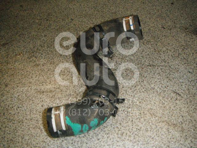 Патрубок радиатора для Peugeot,Citroen 206 1998-2012;Xsara 2000-2005;C2 2003-2008;207 2006-2013;Xsara Picasso 1999-2010 - Фото №1