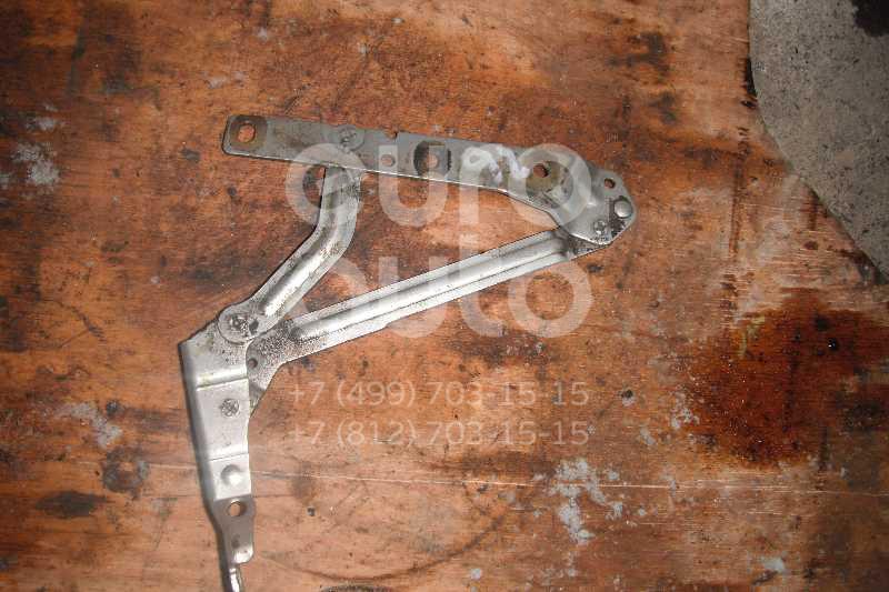 Петля крышки багажника для Ford Focus I 1998-2005;Focus II 2005-2008;Focus II 2008-2011 - Фото №1