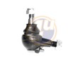 ШАР ОПОРА ПЕРЕДН НИЖН MER W202/S202/A208/C208/S210/W210/R170 93- W210 E-Klasse 1995-2000 ШАР ОПОРА ПЕРЕДН НИЖН MER W202/S202/A208/C208/S210/W210/R170 93- W210 E-Klasse 1995-2000