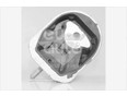 Подушка двигателя A140/160 W169 2004-2012 Подушка двигателя A140/160 W169 2004-2012