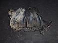 Коллектор впускной для Honda CR-V 2007-2012;Civic 4D 2006-2012;FR-V 2005-2010;Civic 5D 2006-2012