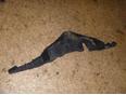 Кожух замка капота для Lexus RX 300/330/350/400h 2003-2009