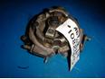 Моновпрыск для Opel Astra G 1998-2005