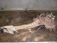 Рычаг задний продольный правый для Subaru Legacy (B12) 1998-2003
