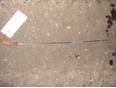 Щуп масляный для Nissan Almera N16 2000-2006;Primera WP11E 1998-2001;Primera P11E 1996-2002;Almera Tino 2000-2006;Primera P12E 2002-2007