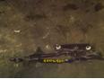 Петля крышки багажника для Opel Omega B 1994-2003