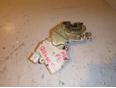 Замок двери передней левой для Nissan Almera N16 2000-2006;Almera Tino 2000-2006