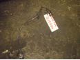 Датчик положения коленвала для Toyota Corolla E12 2001-2007;Avensis II 2003-2008;Avensis I 1997-2003;CorollaVerso 2001-2004;MR II ZZW30 2000-2007;Corolla E11 1997-2001;Celica (ZT23#) 1999-2005;RAV 4 2000-2005;Auris (E15) 2006-2012