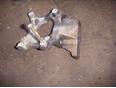 Кронштейн кондиционера для Toyota Land Cruiser (90)-Prado 1996-2002;4 Runner/Hilux Surf 1991-1995;Land Cruiser (70) 1984>