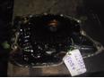 Насос масляный для Mazda Xedos-6 1992-1999