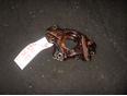 Насос масляный для Toyota Avensis II 2003-2008;Avensis I 1997-2003;CorollaVerso 2001-2004;MR II ZZW30 2000-2007;Corolla E11 1997-2001;Celica (ZT23#) 1999-2005;RAV 4 2000-2005;Corolla E12 2001-2007;Auris (E15) 2006-2012