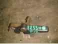 Кнопка открывания лючка бензобака для Nissan Primera P12E 2002-2007