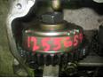 Шестерня (шкив) распредвала для Nissan Almera N16 2000-2006;Primera WP11E 1998-2001;Primera P11E 1996-2002;Almera Tino 2000-2006;Primera P12E 2002-2007