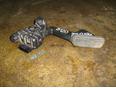 Педаль газа для Toyota,Lexus Land Cruiser (120)-Prado 2002-2009;GX470 2002-2009