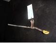 Щуп масляный для Toyota RAV 4 2000-2005;Avensis II 2003-2008;Camry V30 2001-2006;Avensis Verso (M20) 2001-2009;Previa 2000>;RAV 4 2006-2013