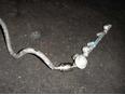 Рейка топливная (рампа) для Toyota Camry V40 2006-2011;Avensis II 2003-2008;Camry V30 2001-2006;RAV 4 2000-2005;RAV 4 2006-2013;Highlander I 2001-2006;Camry V50 2011>;Solara 2003-2009