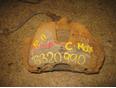 Суппорт передний правый для Ford,Mazda,Volvo C-MAX 2003-2010;Focus II 2005-2008;Mazda 5 (CR) 2005-2010;Mazda 3 (BK) 2002-2009;S40 2004-2012;V50 2004-2012;Focus II 2008-2011;Kuga 2008-2012;Mazda 3 (BL) 2009-2013;Focus III 2011>;C-MAX 2010>