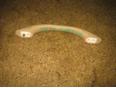 Ручка внутренняя потолочная для Lexus,Toyota RX 300 1998-2003;Highlander I 2001-2006