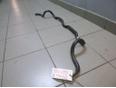 Стабилизатор передний для Hyundai,Kia Elantra 2006-2011;Ceed 2007-2012;i30 2007-2012;Cerato 2009-2013