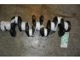 Коленвал для Honda Accord VII 2003-2008;Civic 2001-2005;FR-V 2005-2010;CR-V 2002-2006;Stream 2001-2005