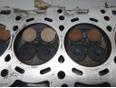 Головка блока для Nissan X-Trail (T30) 2001-2006;Teana J31 2006-2008;Primera P12E 2002-2007