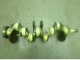 Коленвал Sandero 2009-2014;Clio I 1991-1998;Megane I 1996-1999;Megane II 2002-2009;Megane I 1999-2003;Express 1985-1998;R19 1992-2002;Scenic 2003-2009;Scenic 1999-2003;Laguna II 2001-2008;Clio II/Symbol 1998-2008 Коленвал Sandero 2009-2014;Clio I 1991-1998;Megane I 1996-1999;Megane II 2002-2009;Megane I 1999-2003;Express 1985-1998;R19 1992-2002;Scenic 2003-2009;Scenic 1999-2003;Laguna II 2001-2008;Clio II/Symbol 1998-2008