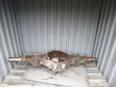 Корпус заднего моста TRUCK ACTROS I 1996-2002 Корпус заднего моста TRUCK ACTROS I 1996-2002