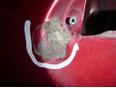 Дверь передняя правая для Peugeot 206 1998-2012