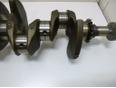 Коленвал для Renault Scenic II 2003-2009;Clio I 1991-1998;Megane I 1996-1999;Kangoo 2003-2008;Logan 2005-2014;Megane II 2003-2009;Megane I 1999-2004;Express 1985-1998;R19 1992-2002;Scenic 1999-2003;Laguna II 2001-2008
